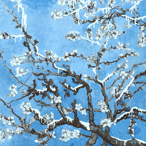 国产老年人操逼大片免费看
